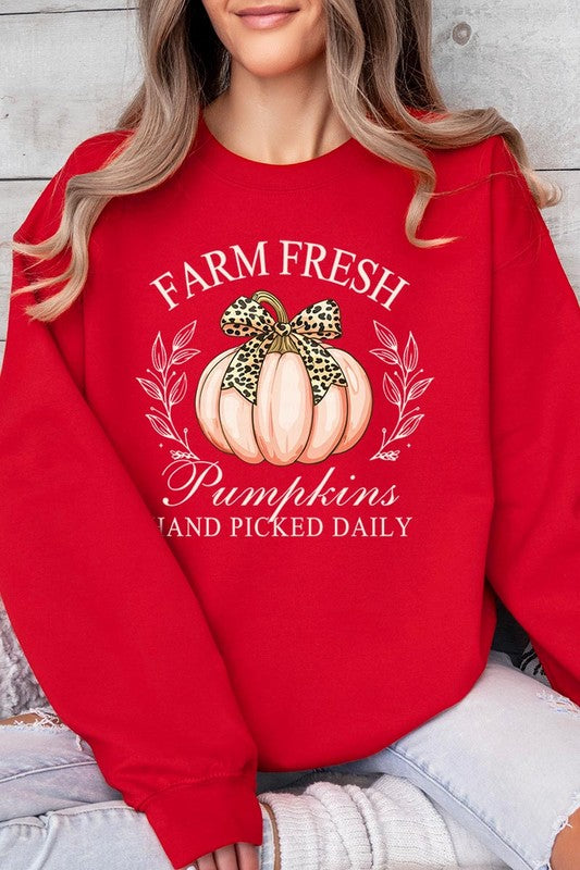 Farm Fresh Pumpkins | Sweatshirt