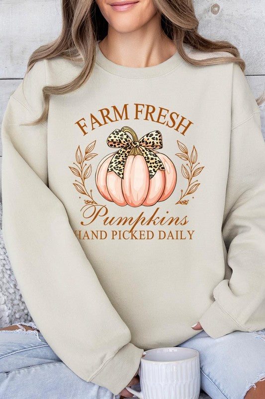 Farm Fresh Pumpkins | Sweatshirt