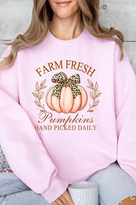 Farm Fresh Pumpkins | Sweatshirt