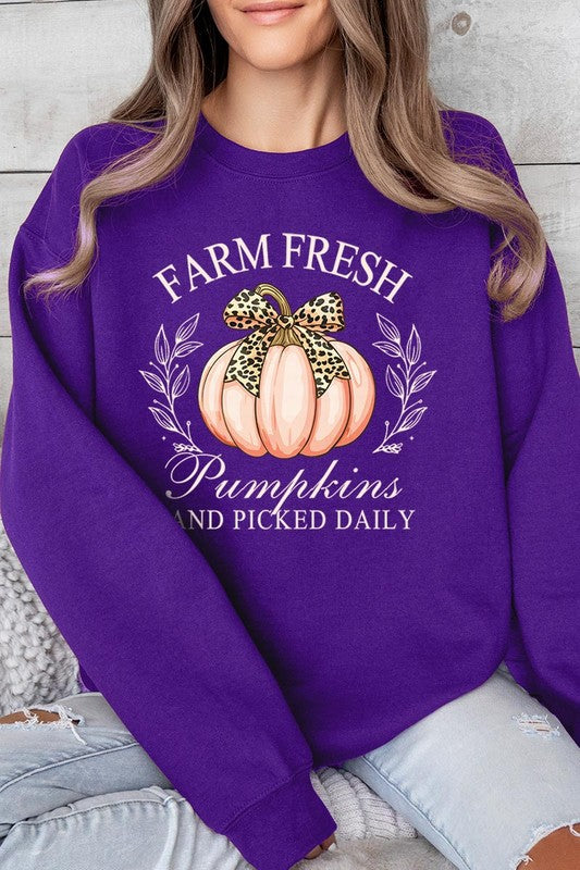 Farm Fresh Pumpkins | Sweatshirt