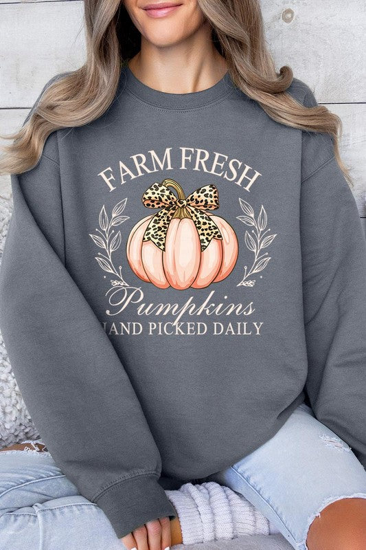 Farm Fresh Pumpkins | Sweatshirt