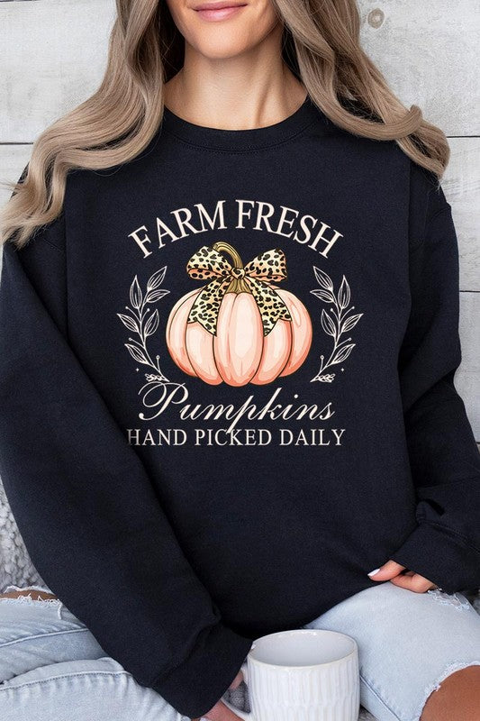Farm Fresh Pumpkins | Sweatshirt