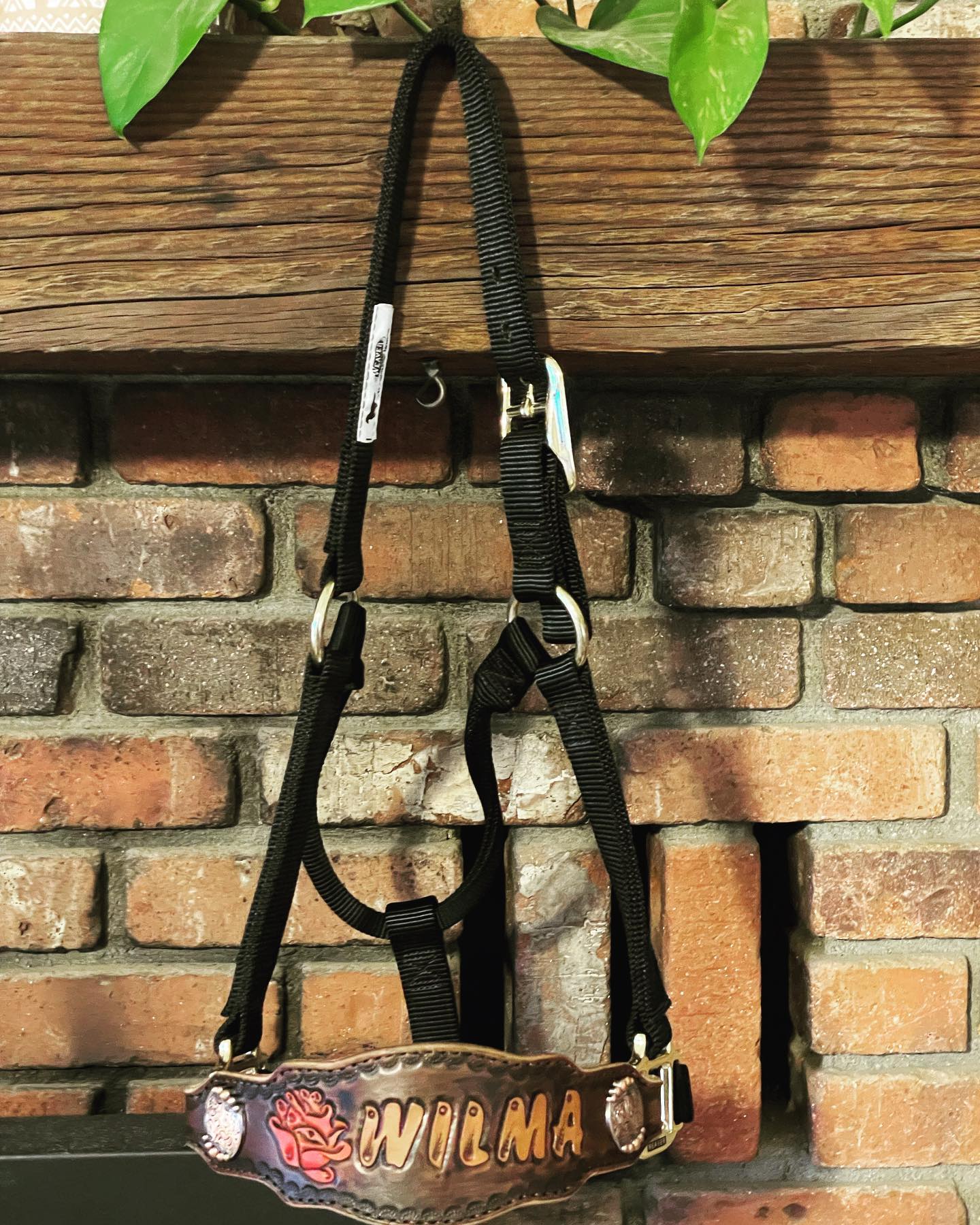 Custom Halter
